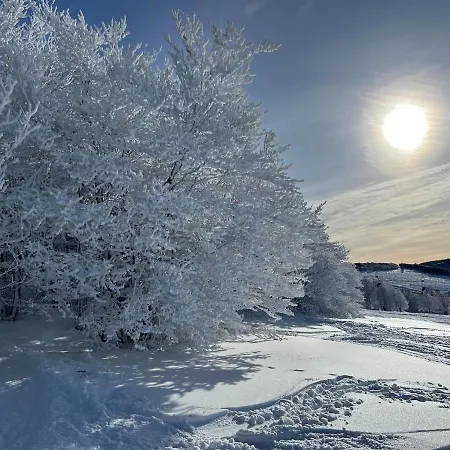 Le Cocon De 公寓 *