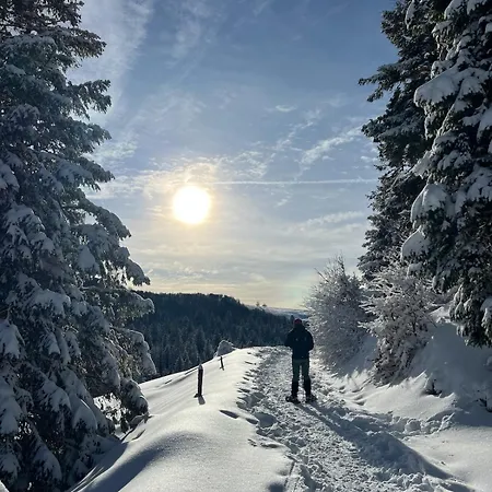 Апартаменты Le Cocon De