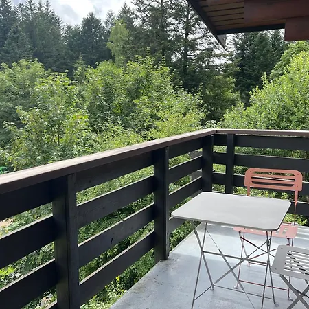 Le Cocon De Apartmán La Bresse