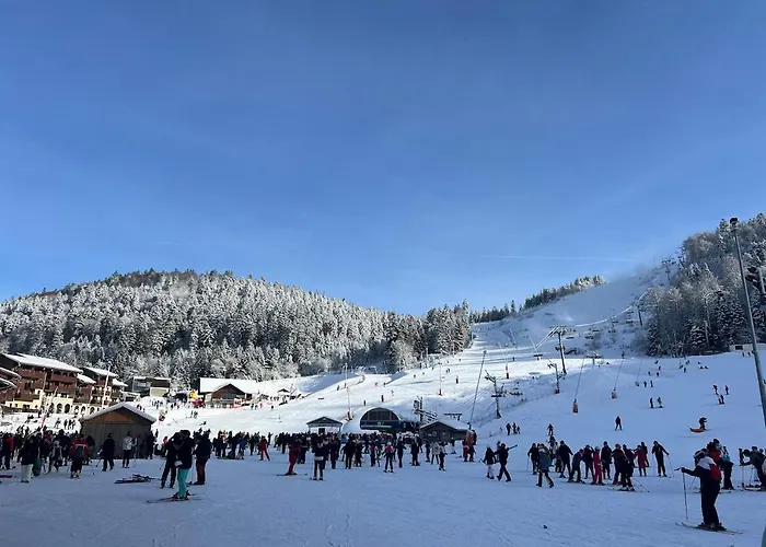 Apartmán Le Cocon De La Bresse
