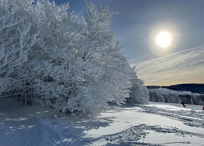 Le Cocon De Apartmán *