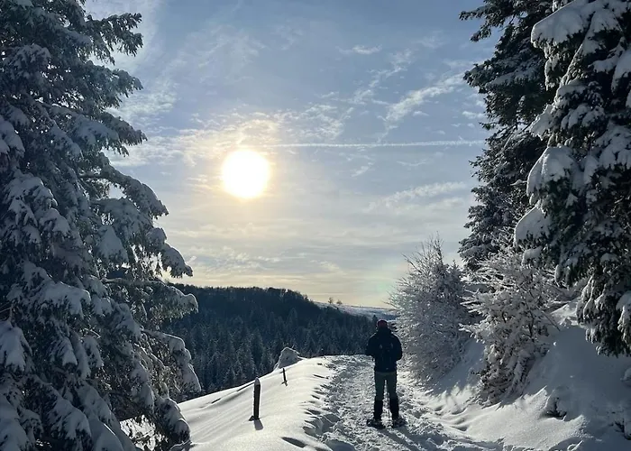 Apartmán Le Cocon De