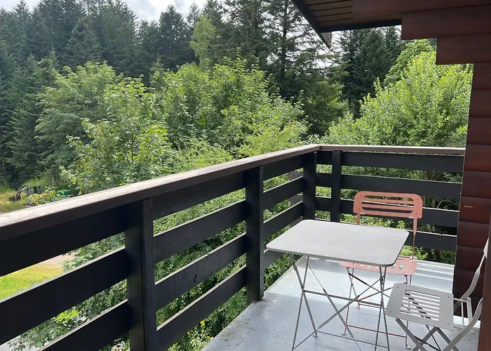 Le Cocon De Apartmán La Bresse